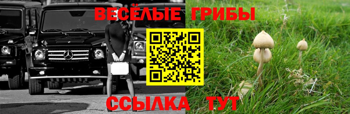 Комсомольск-на-Амуре  Псилоцибиновые грибы Cubensis  наркотики  Вход с VPN 